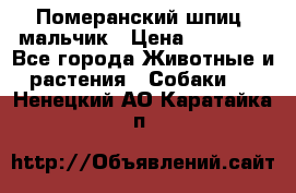 Померанский шпиц, мальчик › Цена ­ 35 000 - Все города Животные и растения » Собаки   . Ненецкий АО,Каратайка п.